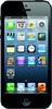 Apple iPhone 5 32GB - Верхняя Пышма